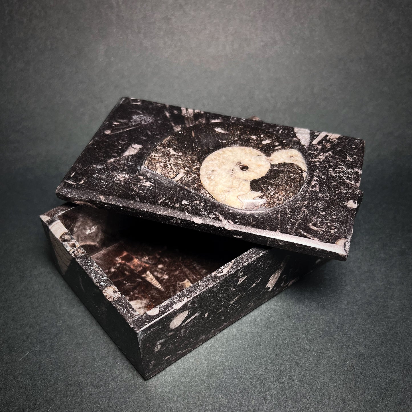 A stone box made of dark marble contain gin fossils.