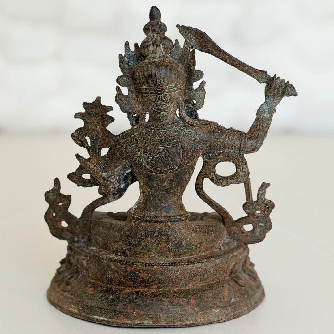 Rear view with flaming sword raised