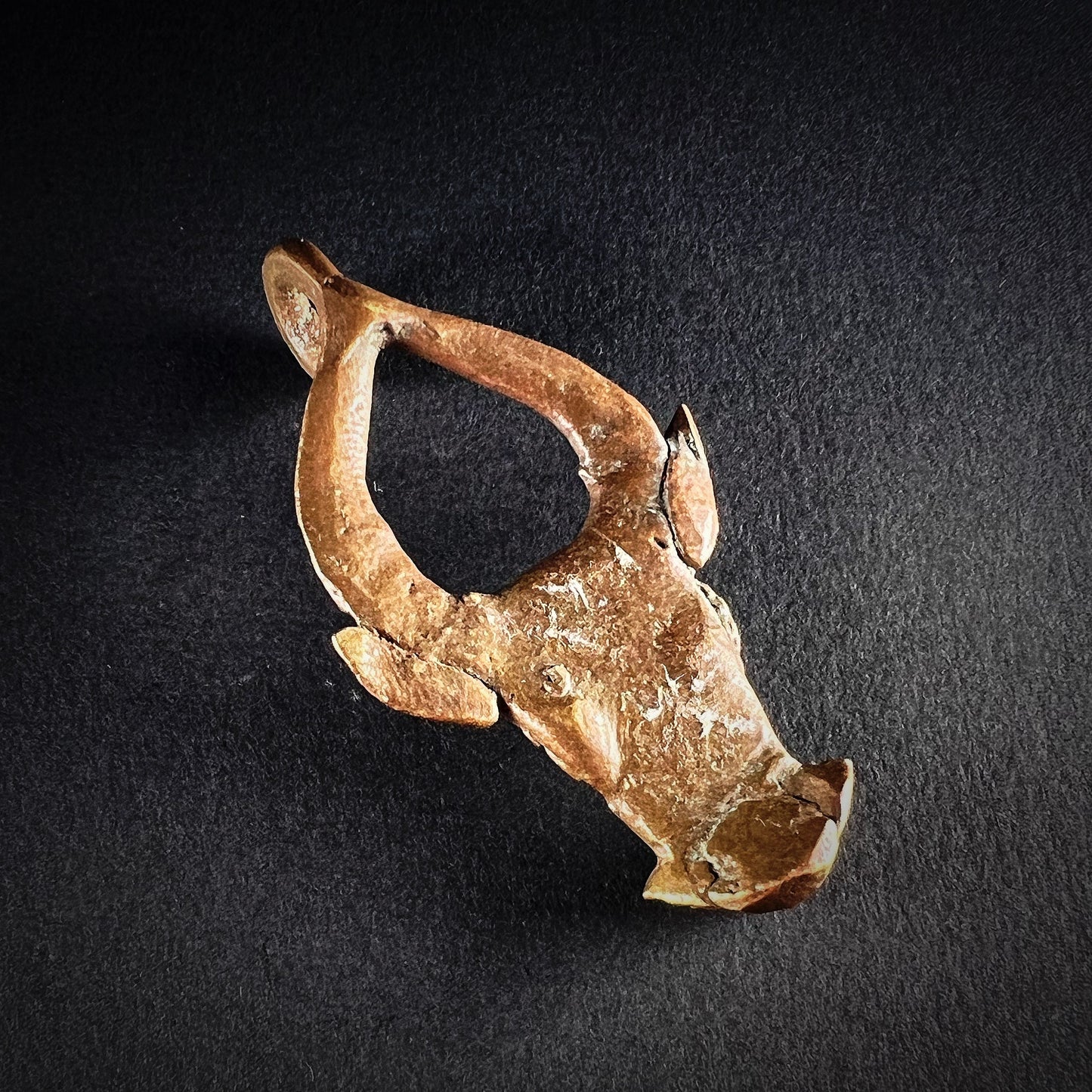 Bronze amulet - Forest kaffir buffalo