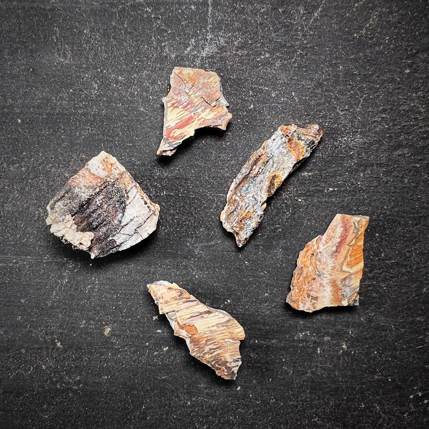 Fossiili - Villamammutin (Mammuthus primigenius) takahampaan fragmentti XS-koko