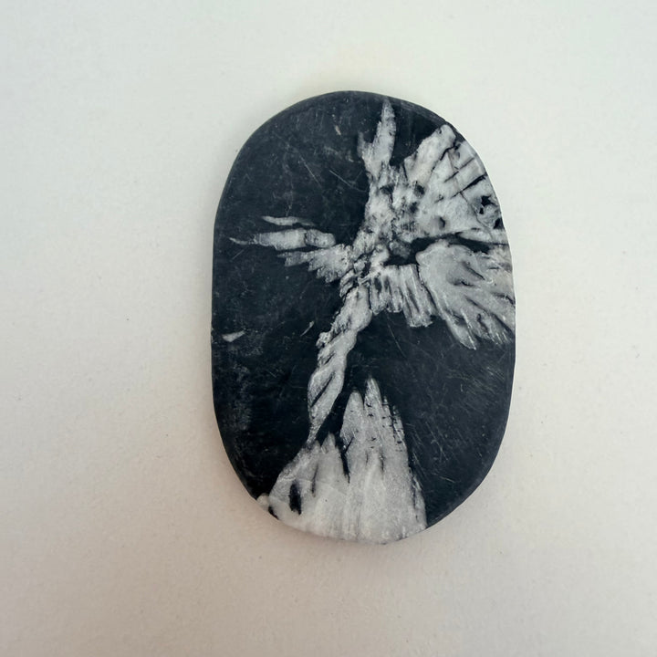 Krysanteemikivi hiottu kivi, jossa vaalea kukkamainen mineraalikuvio tummassa kivessä.
Polished chrysanthemum stone with white flower-like mineral formation in dark matrix.