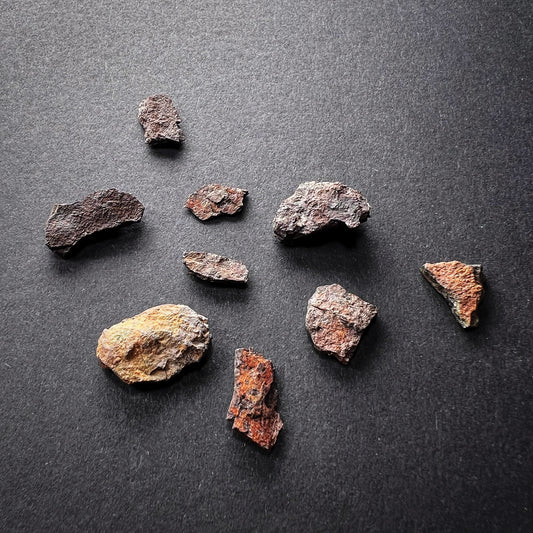 Meteorite fragments 