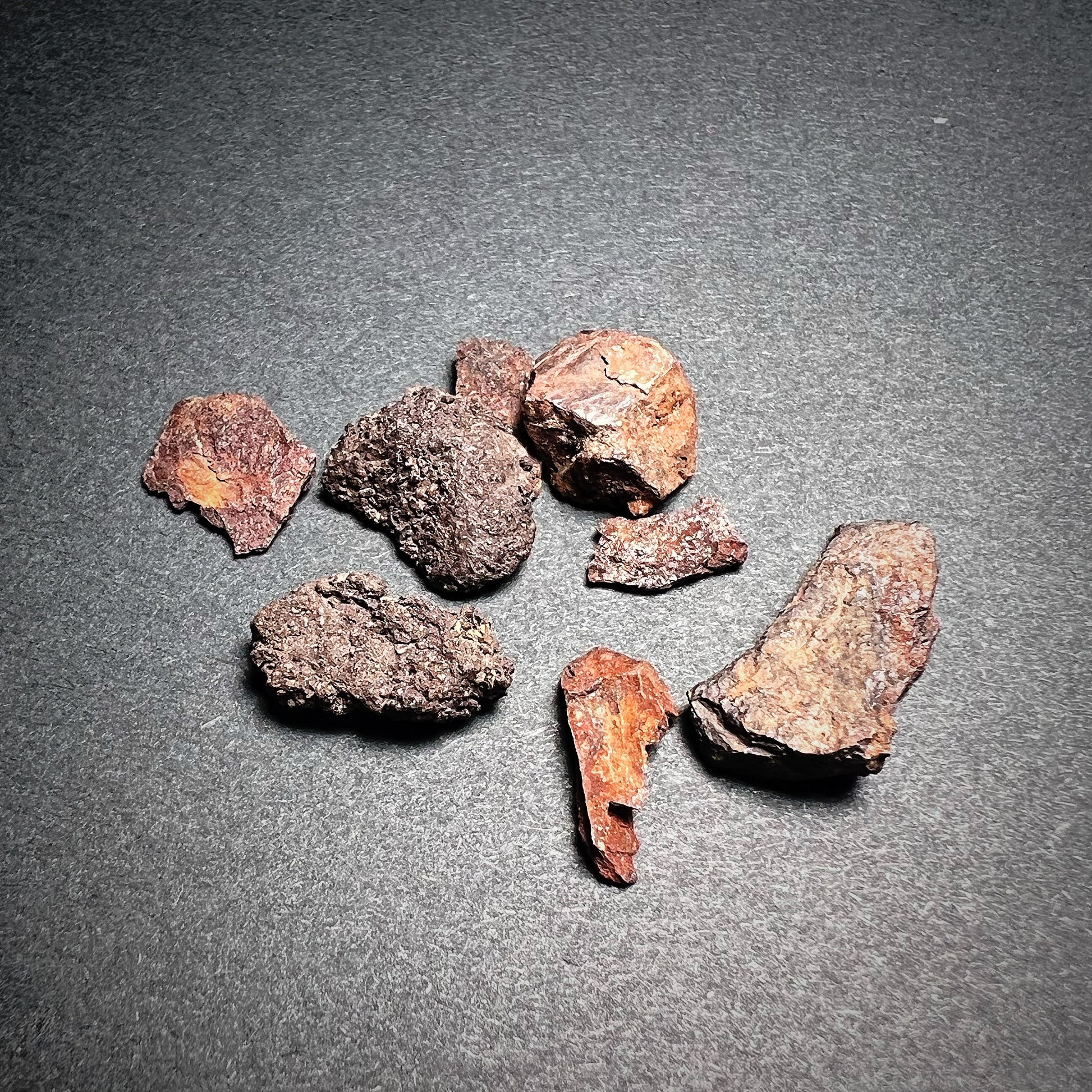 Meteorite fragments