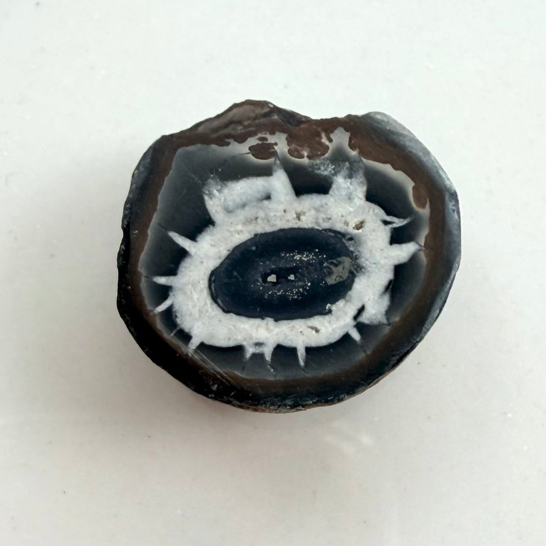 Lähikuva septarian-parin toisesta kivestä, jossa mustaa keskiötä ympäröi kirkkaanvalkoinen, säteittäinen halkeamarakenne tummanharmaalla pohjalla.