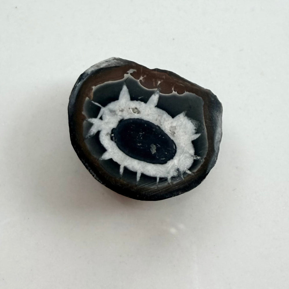 Halkaistu septarian-noduuli, jonka molemmat sisäpinnat paljastavat symmetrisen ja silmää muistuttavan mineraalikuvion.