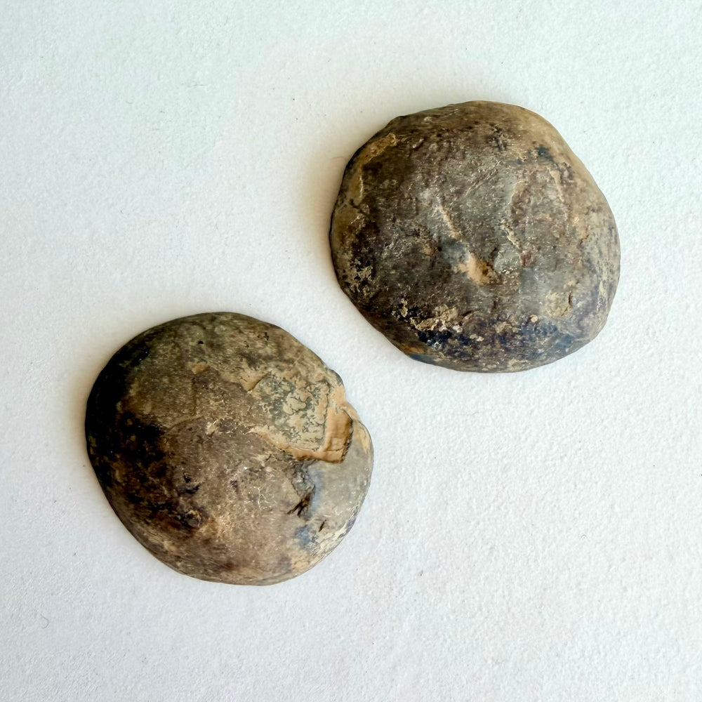 Septarian-noduulin luonnonmukainen, raudanruskea ja rosoinen ulkokuori.