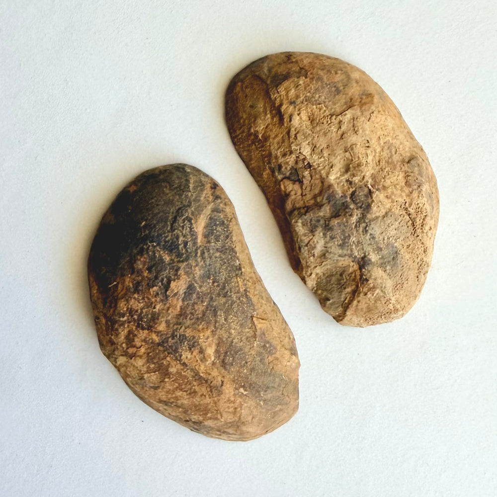 Septarian-noduulin luonnonmukainen, raudanruskea ja rosoinen ulkokuori.