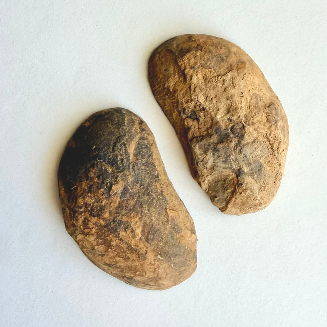 Septarian-noduulin luonnonmukainen, raudanruskea ja rosoinen ulkokuori.