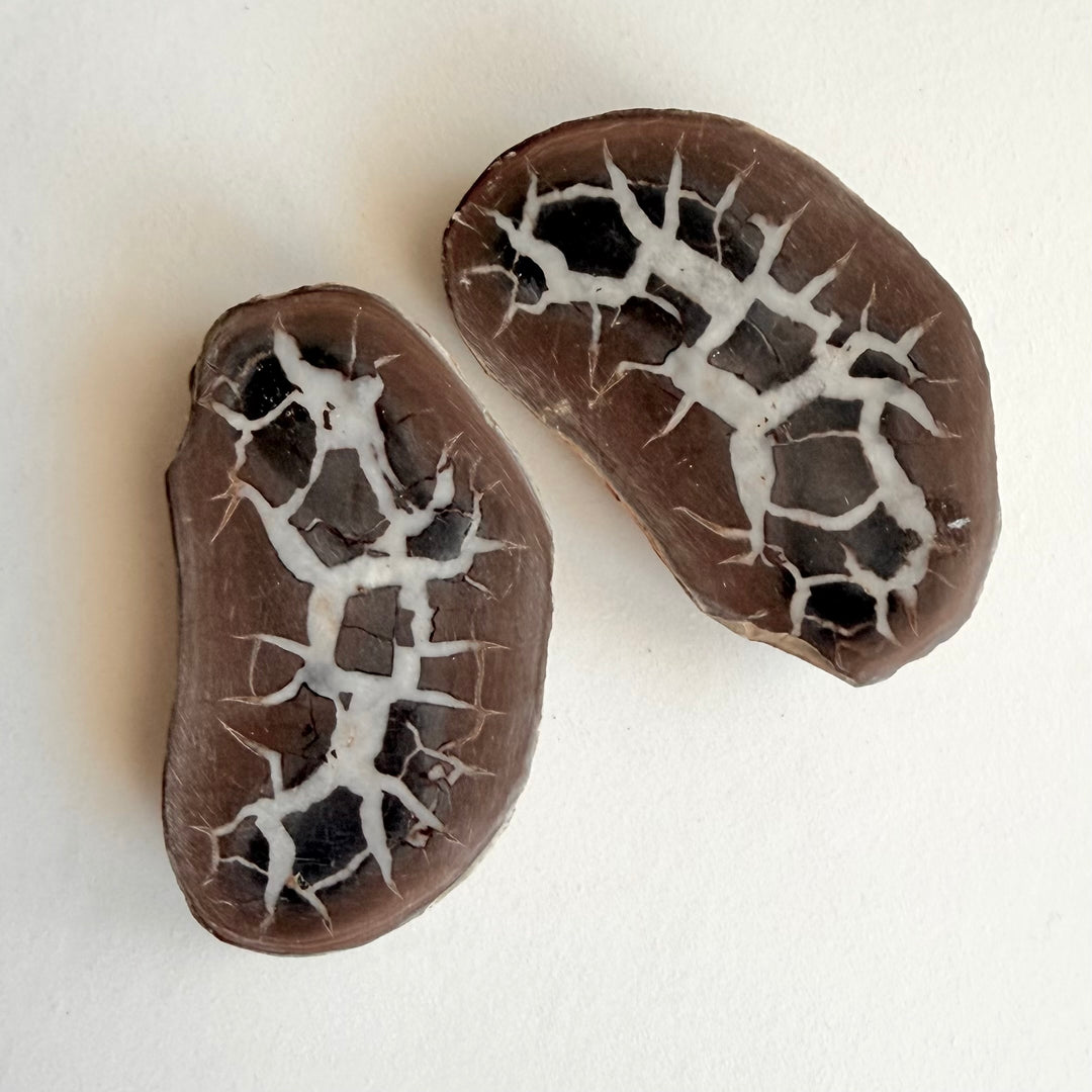Lähikuva septarian-parin kivistä, joissa mustaa keskiötä ympäröi kirkkaanvalkoinen, säteittäinen halkeamarakenne tummanharmaalla pohjalla.