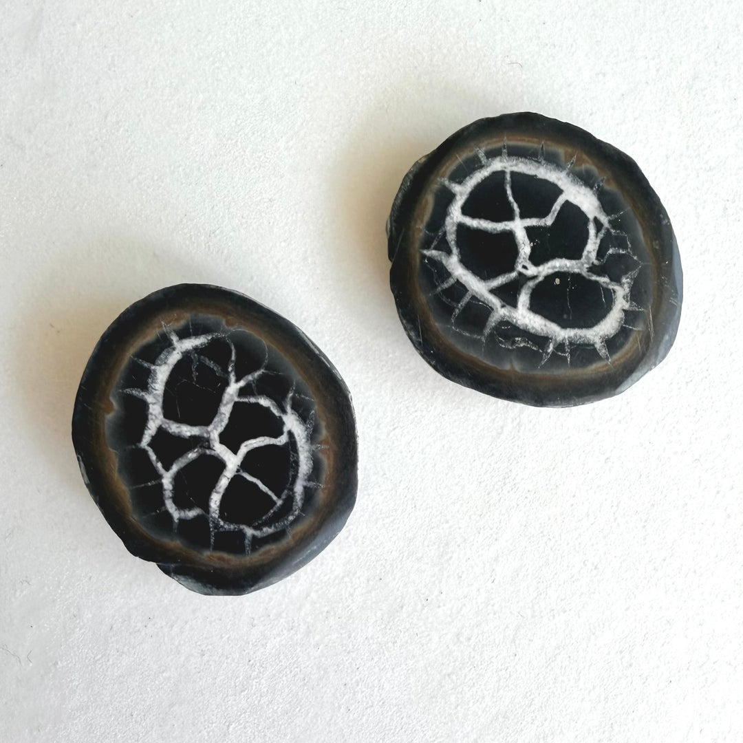 Lähikuva septarian-parin kivistä, joissa mustaa keskiötä ympäröi kirkkaanvalkoinen, säteittäinen halkeamarakenne tummanharmaalla pohjalla.