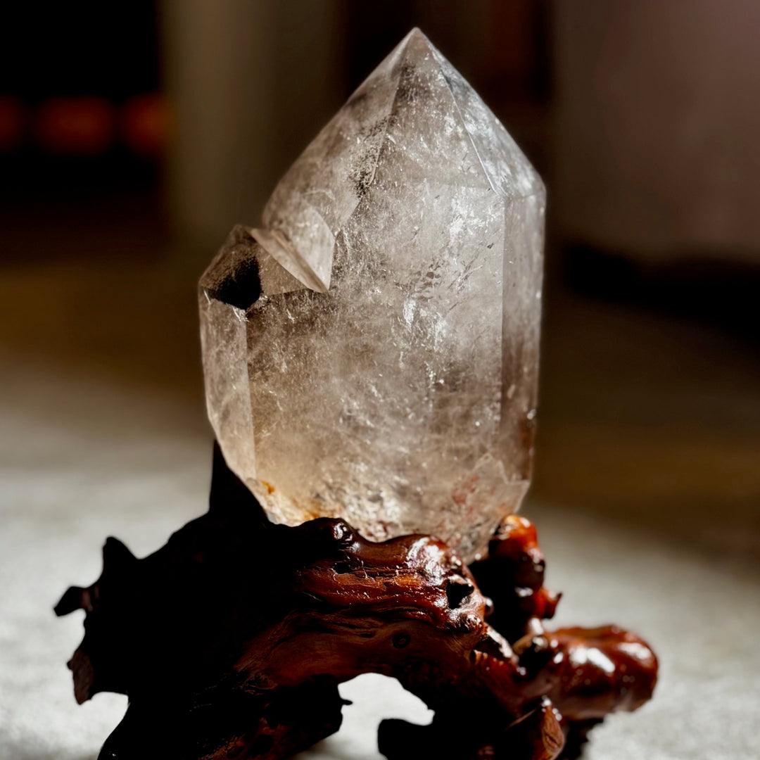 Upea iso savukvartsikide omalla puujuurakkojalustallaan, kuvattuna edestä pehmeässä valossa.- 
A stunning large smoky quartz crystal on its own wooden root stand, photographed from the front in soft lighting.