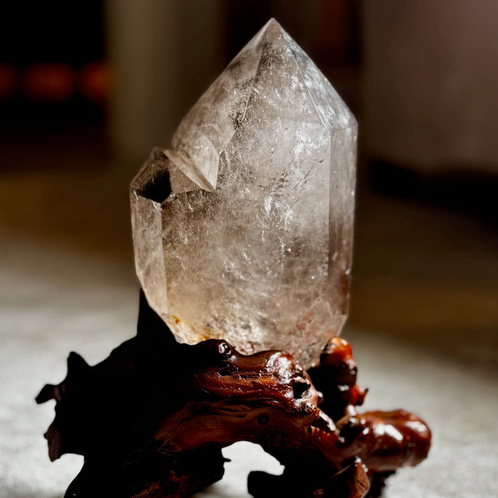 Upea iso savukvartsikide omalla puujuurakkojalustallaan, kuvattuna edestä pehmeässä valossa.- 
A stunning large smoky quartz crystal on its own wooden root stand, photographed from the front in soft lighting.