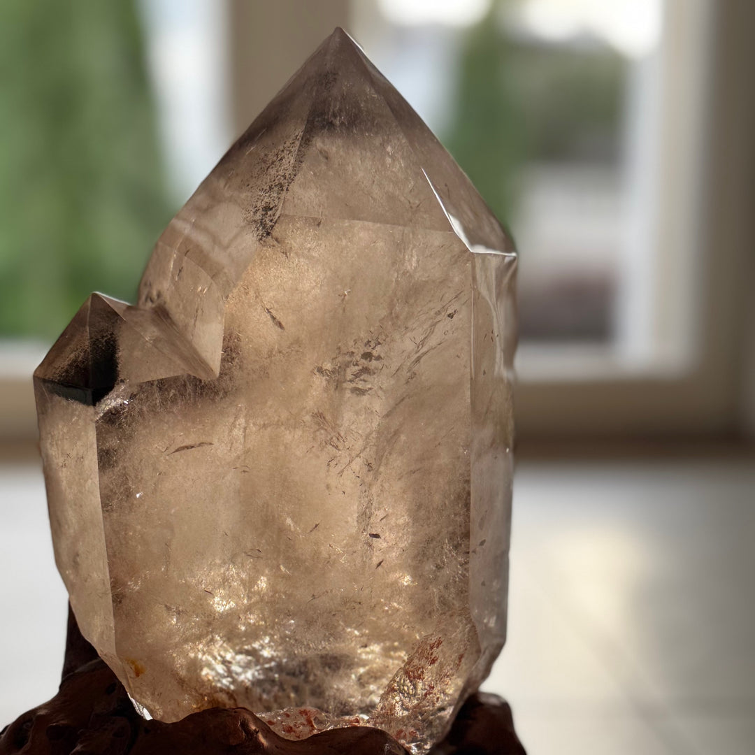 Upea iso savukvartsikide, kuvattuna edestä läpivalaistuna.- 
A stunning large smoky quartz crystal  photographed in the see through day light.