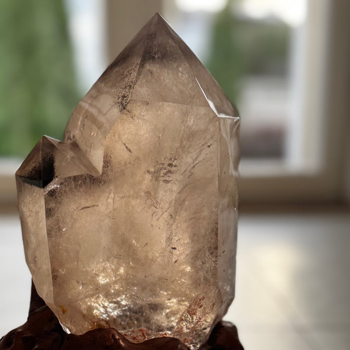 Upea iso savukvartsikide, kuvattuna edestä läpivalaistuna.- 
A stunning large smoky quartz crystal  photographed in the see through day light.