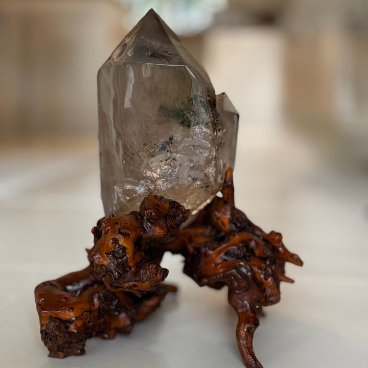 Upea iso savukvartsikide omalla puujuurakkojalustallaan, kuvattuna takaa pehmeässä valossa.- 
A stunning large smoky quartz crystal on its own wooden root stand, photographed from the back in soft lighting.