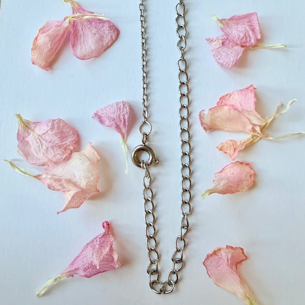 Ankh-kaulakorun hopeanvärinen teräsketju ja lukko lähikuvassa kuivattujen kukkien ympäröimänä - Close-up of silver colored Ankh's steel necklace chain and clasp with dried flower petals on a light background