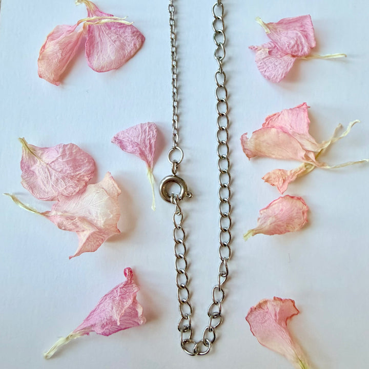 Ankh-kaulakorun hopeanvärinen teräsketju ja lukko lähikuvassa kuivattujen kukkien ympäröimänä - Close-up of silver colored Ankh's steel necklace chain and clasp with dried flower petals on a light background