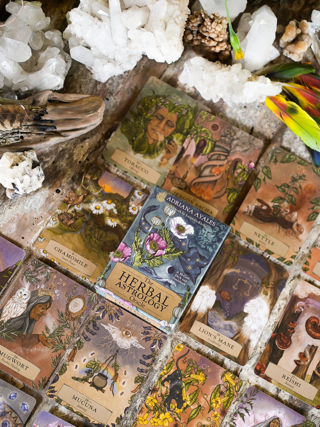 The Herbal Astrology Oracle -korttien kasvikuvituksia aseteltuina rasian ympärille.