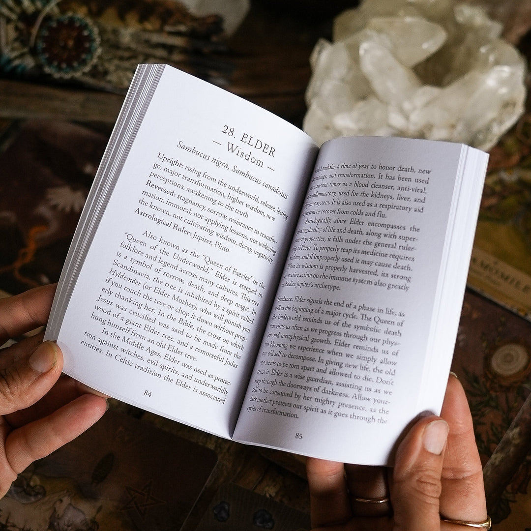 The Herbal Astrology Oracle -pakan englanninkielinen opaskirja avattuna käsissä.