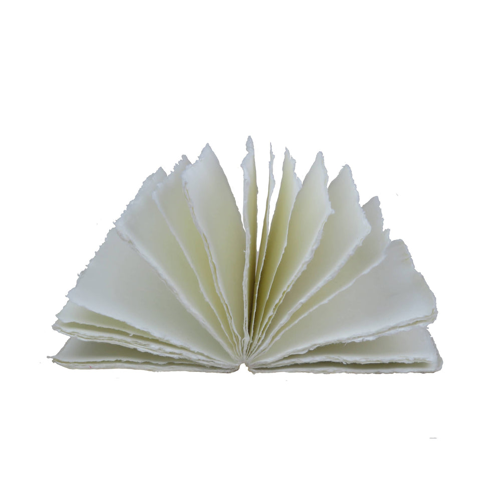 Avattu Grand Siècle -muistikirja, jonka vaaleat paperisivut on levitetty viuhkaksi. / Open Grand Siècle notebook with cream paper pages fanned out.