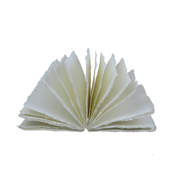Avattu Grand Siècle -muistikirja, jonka vaaleat paperisivut on levitetty viuhkaksi. / Open Grand Siècle notebook with cream paper pages fanned out.