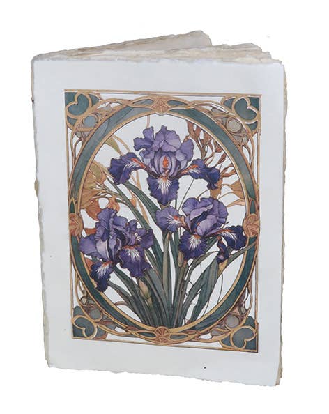 Vaalea muistikirja, jonka kannessa on violetteja iiriksiä vihreän ja kullan sävyisessä art nouveau -kehyksessä. / Cream notebook with purple irises in a green and gold Art Nouveau frame.