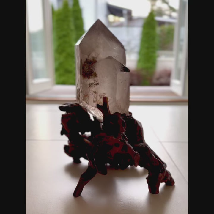 Video, jossa upeaa isoa savukvartsikidettä pyöritetään hitaasti ympäri omalla puujuurakkojalustallaan. Taustalla päivänvaloinen piha.- 
A video showing a stunning large smoky quartz crystal being slowly rotated on its own wooden root stand, with a daylight garden in the background.