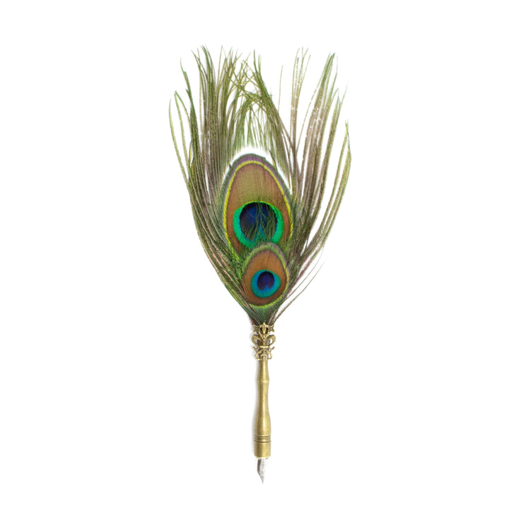 Peacock feather quill pen with a gold-coloured barrel on a white background.